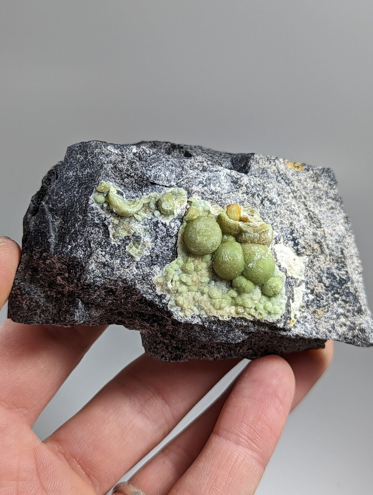 A hand holds a dark gray rock specimen featuring vibrant green, bulbous mineral formations with some yellowish accents.