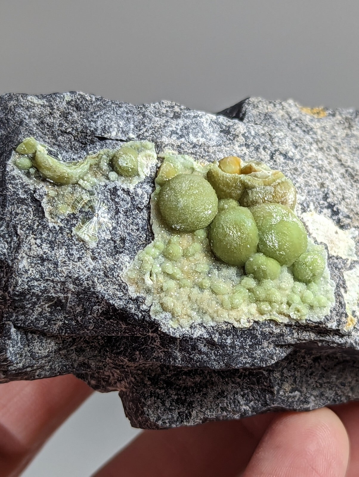 A cluster of vibrant green, spherical mineral formations nestled within a speckled gray rock matrix.