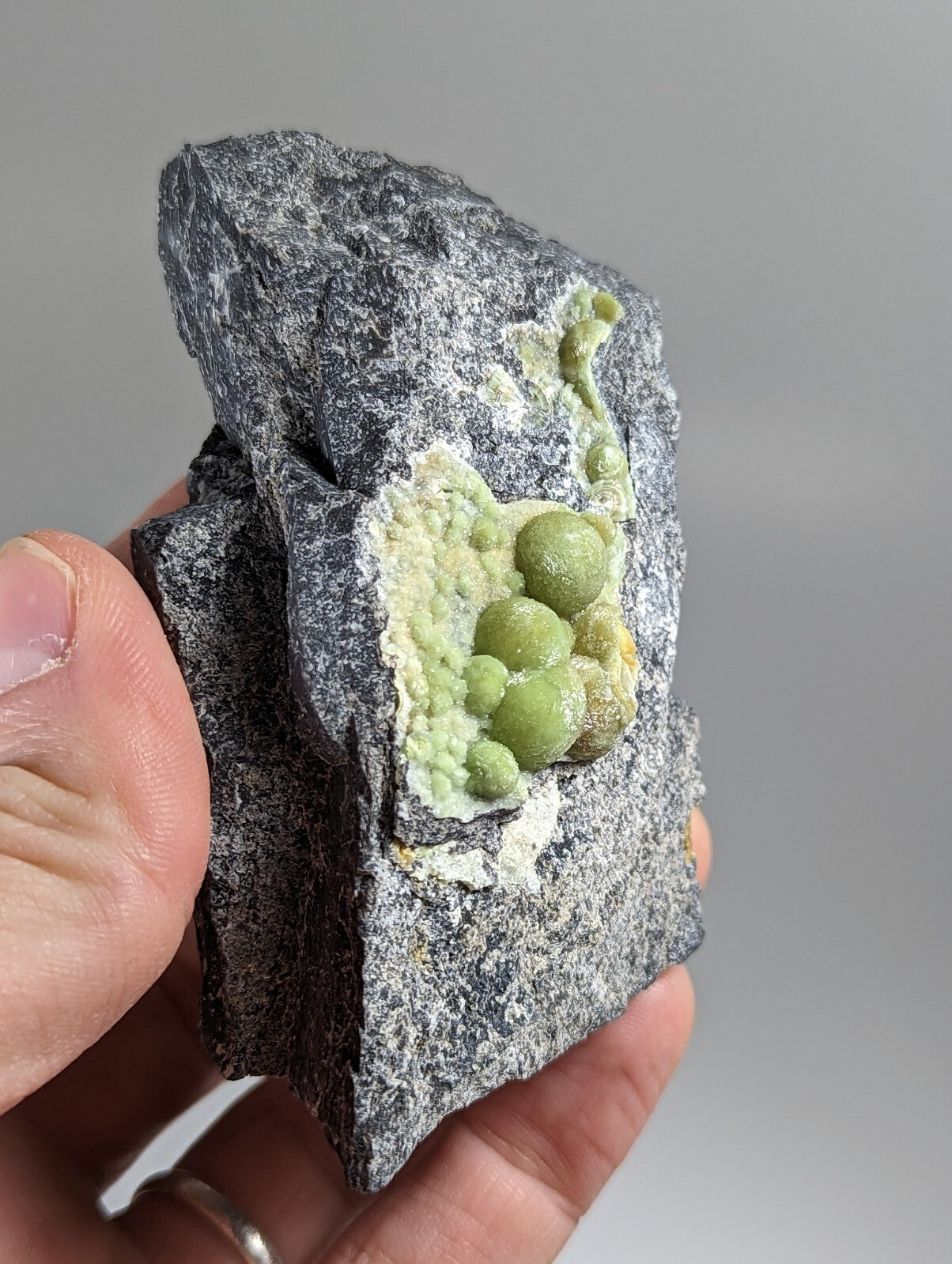 A hand holds a dark gray rock specimen featuring clusters of vibrant green, spherical mineral formations.