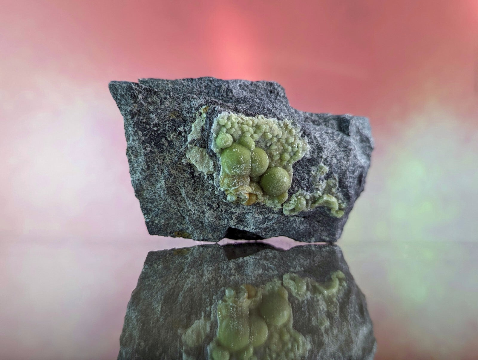 A striking dark gray rock specimen featuring a cluster of vibrant green, spherical mineral formations.