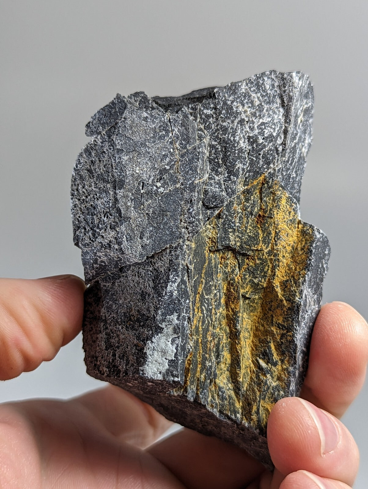 A rugged, irregularly shaped rock with a dark gray base and striking golden-yellow mineral veins running vertically through it.
