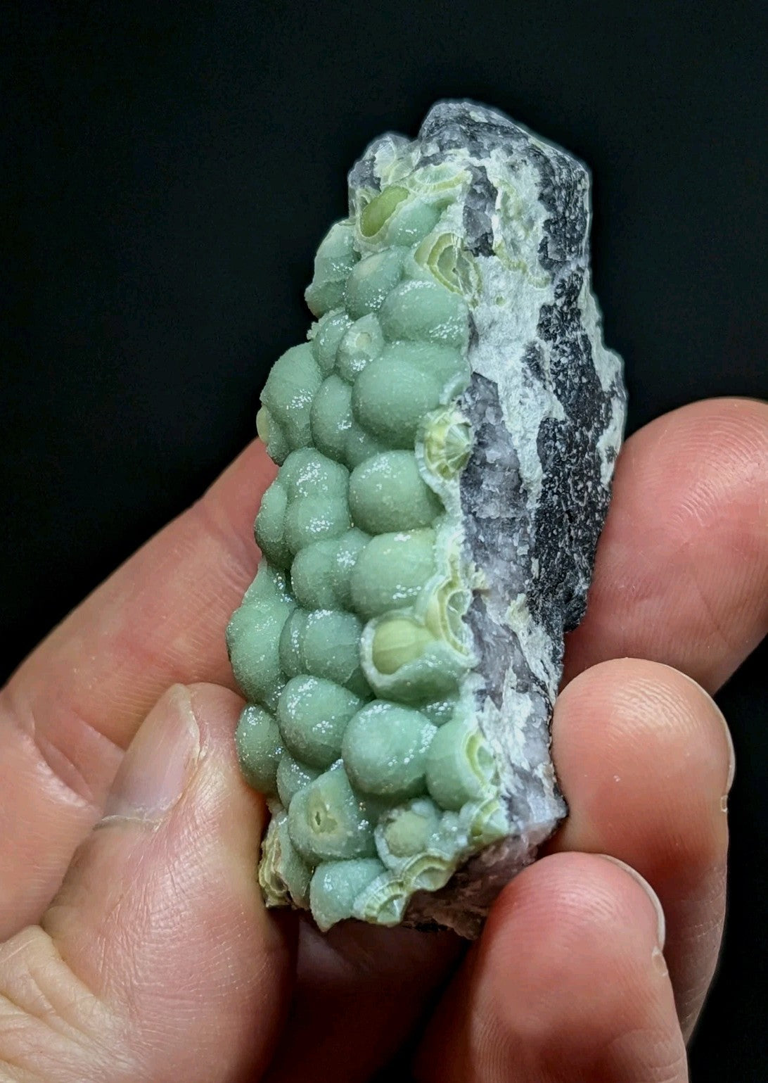 A hand holds a striking greenish-blue mineral specimen featuring rounded, bubble-like formations against a contrasting dark matrix.