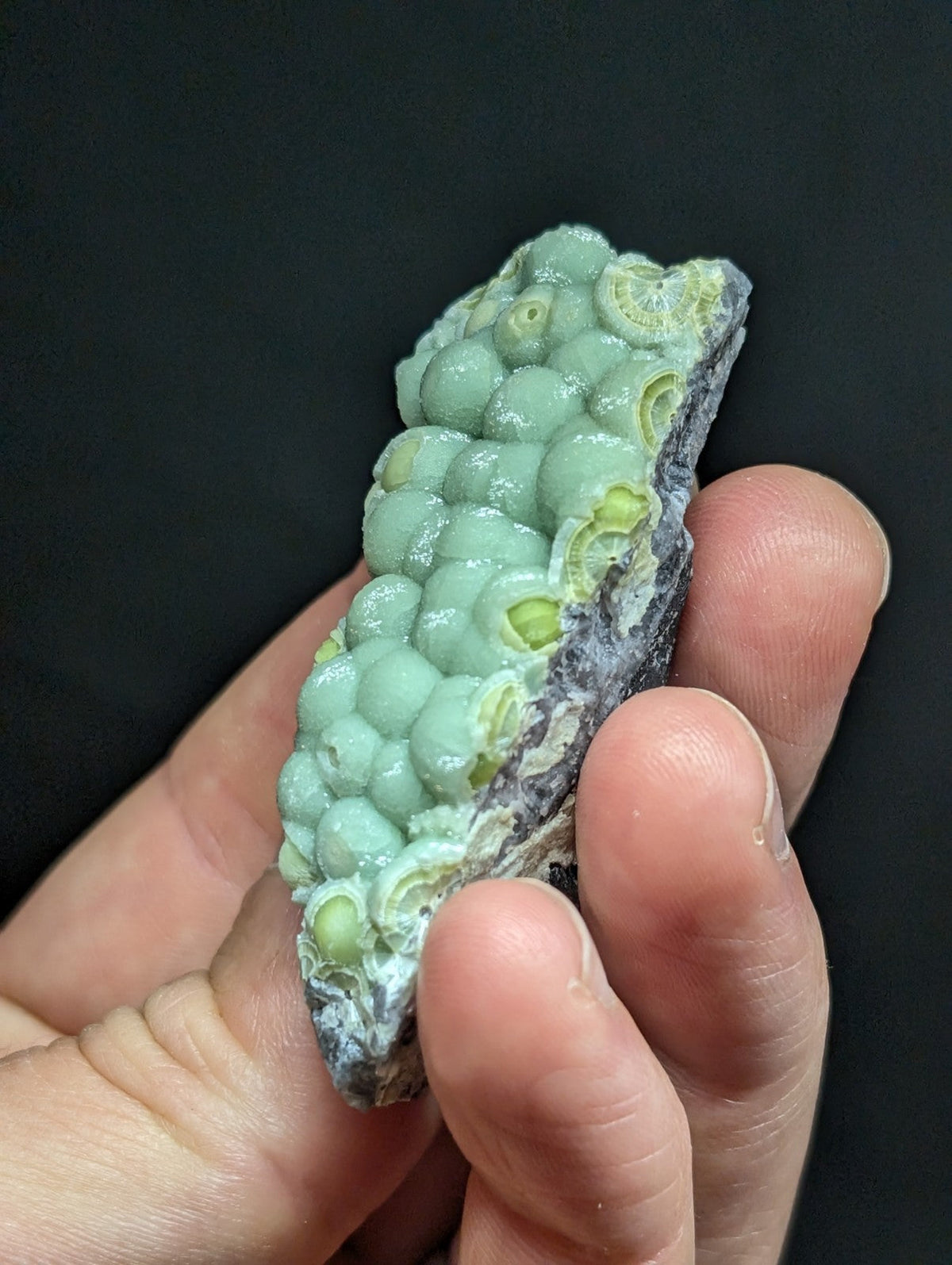 A hand holds a striking greenish-blue coral-like mineral specimen with rounded, bubble-shaped formations and a rough-textured base.