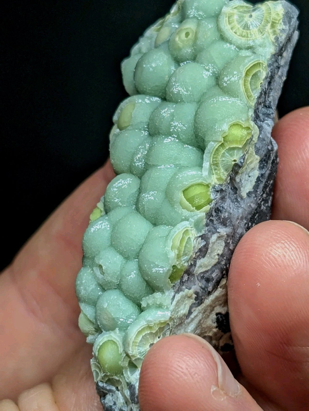 A hand holds a striking greenish-blue mineral specimen featuring rounded, bubble-like formations with concentric rings and subtle yellow-green interiors.