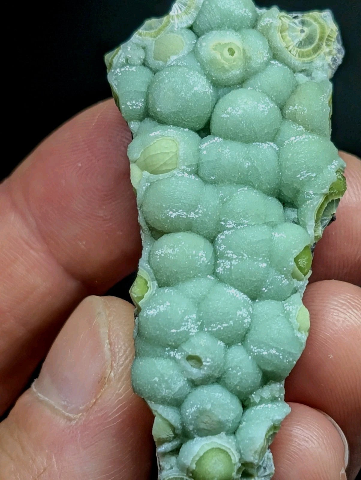 A pale green, textured mineral specimen with rounded, bubble-like formations and subtle concentric rings.