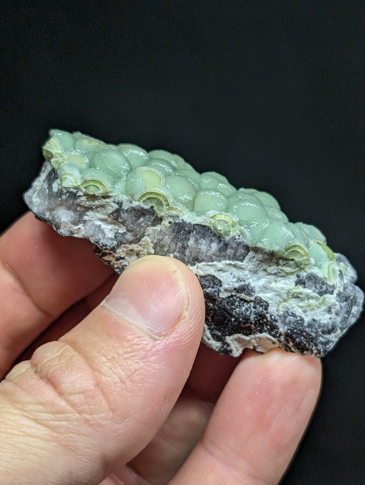 A translucent light green jade specimen with a textured, bubble-like surface embedded in dark gray rock.