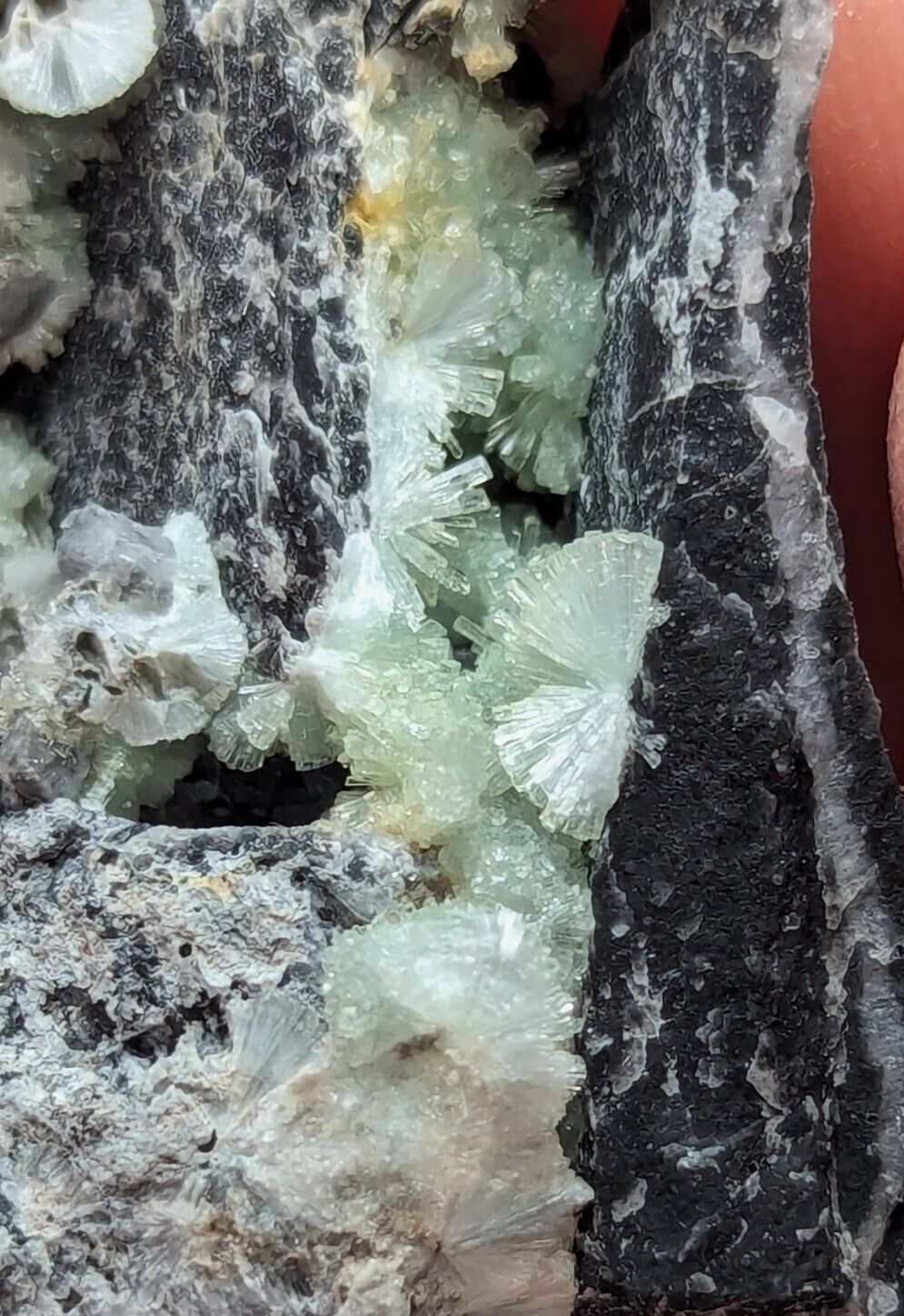 Amazing Wavellite -Old Stock - Mauldin Mountain Arkansas Top Crystallization - Collectibles:Rocks Fossils &
