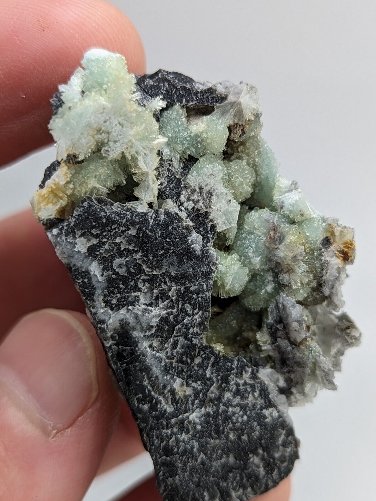 Amazing Wavellite -Old Stock - Mauldin Mountain Arkansas Top Crystallization - Collectibles:Rocks Fossils &
