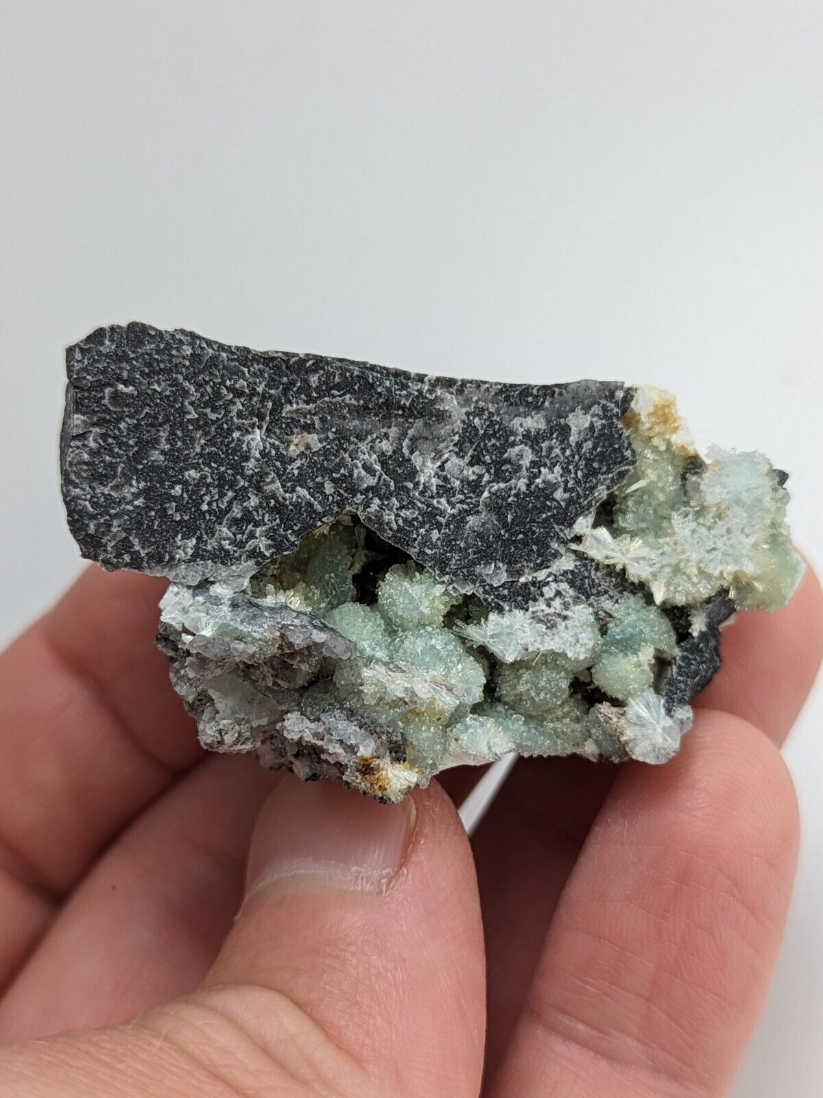 Amazing Wavellite -Old Stock - Mauldin Mountain Arkansas Top Crystallization - Collectibles:Rocks Fossils &