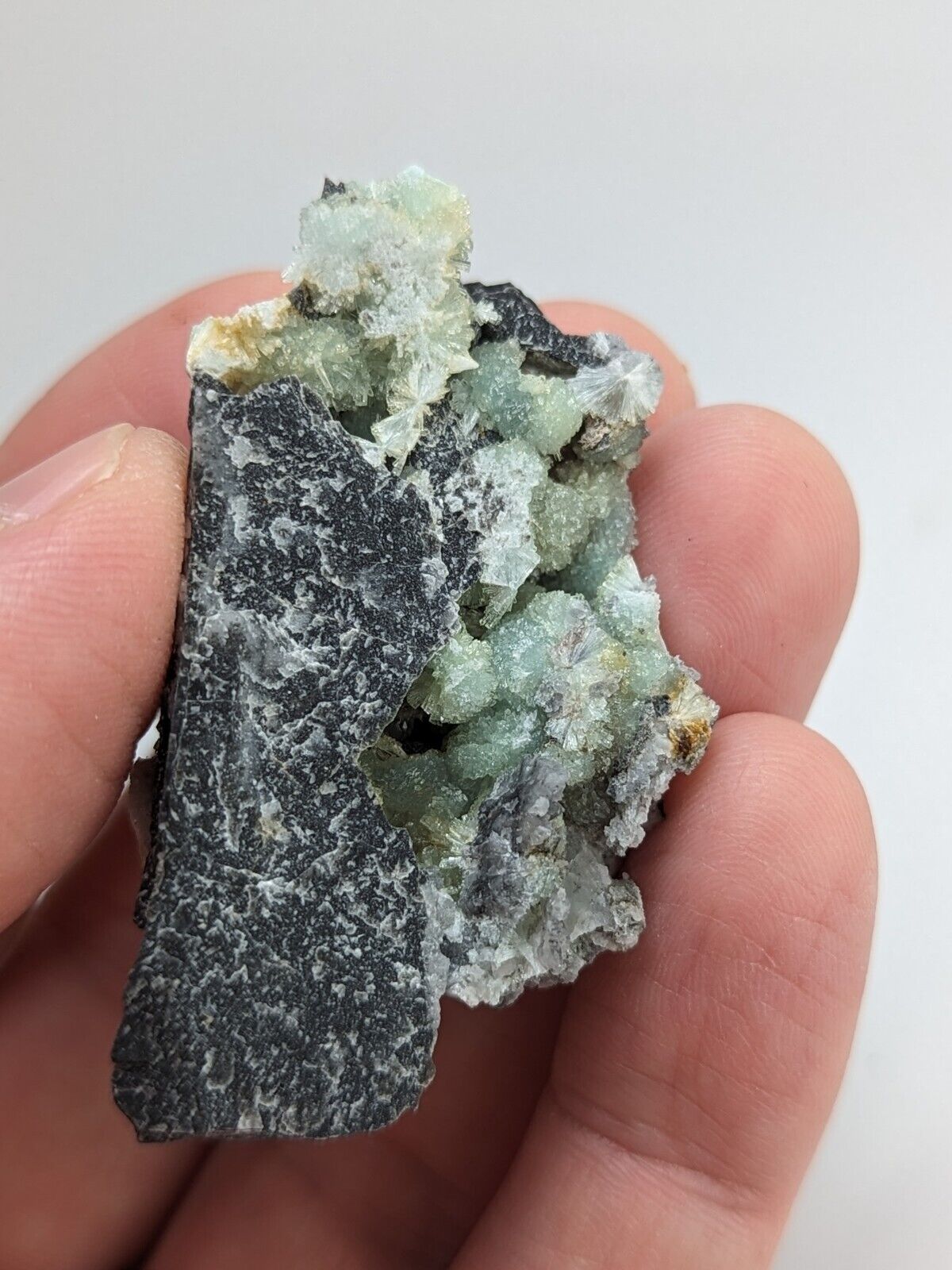 Amazing Wavellite -Old Stock - Mauldin Mountain Arkansas Top Crystallization - Collectibles:Rocks Fossils &
