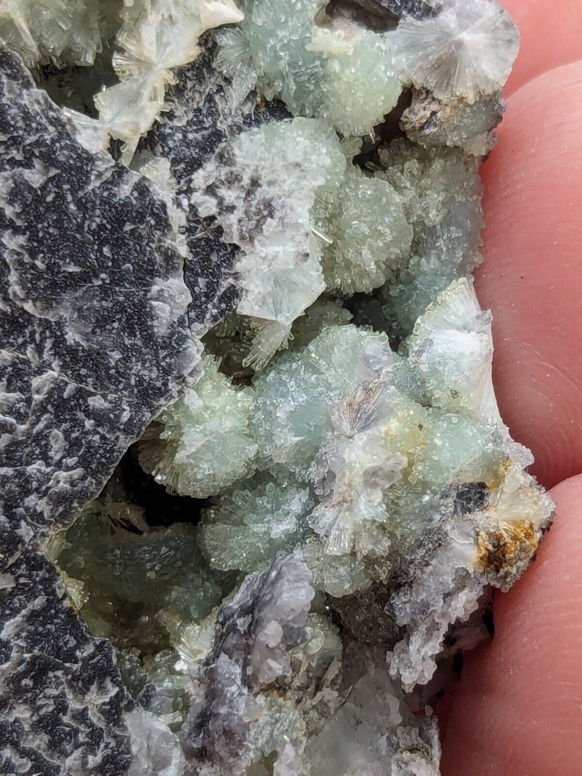Amazing Wavellite -Old Stock - Mauldin Mountain Arkansas Top Crystallization - Collectibles:Rocks Fossils &