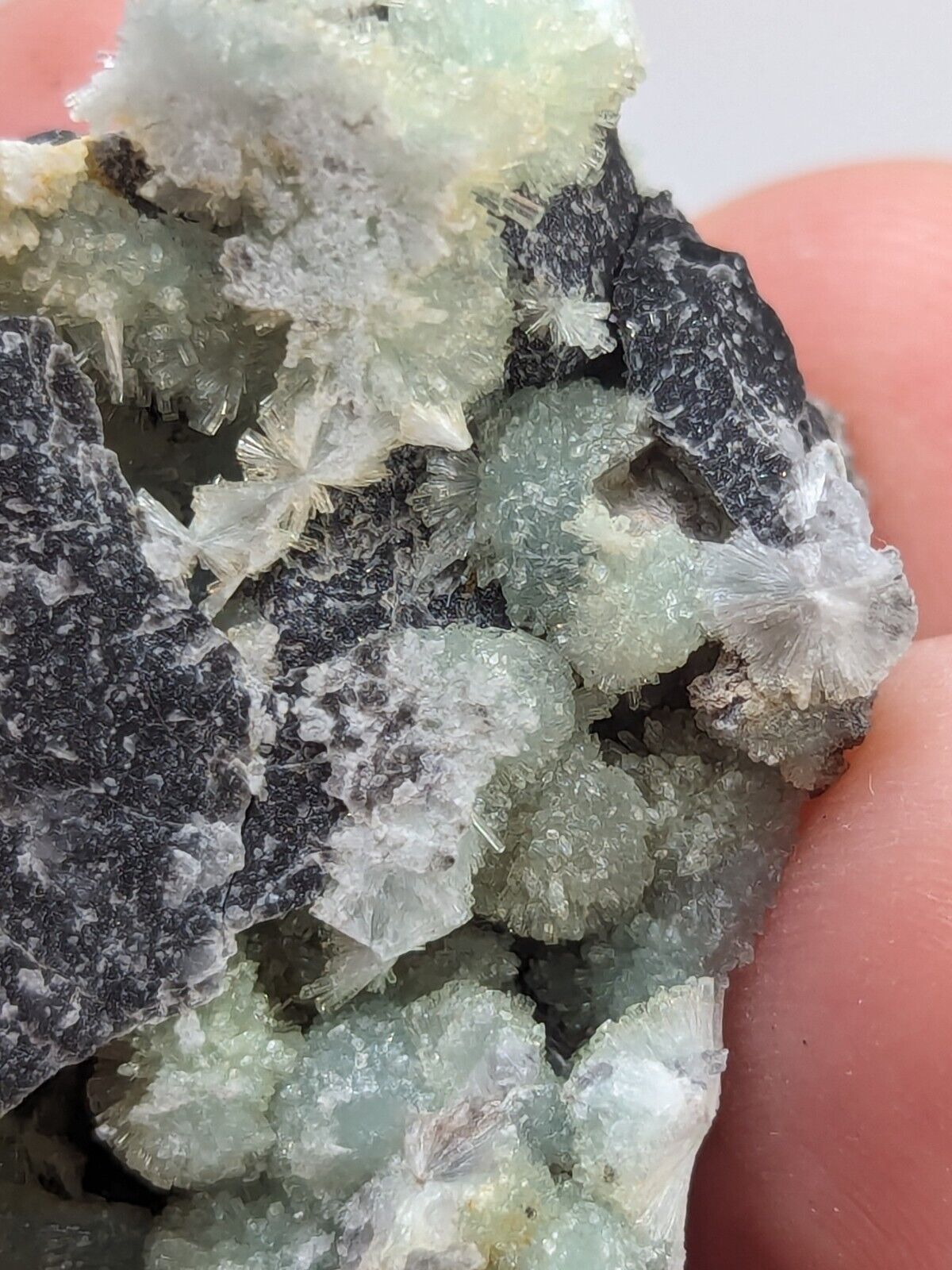 Amazing Wavellite -Old Stock - Mauldin Mountain Arkansas Top Crystallization - Collectibles:Rocks Fossils &