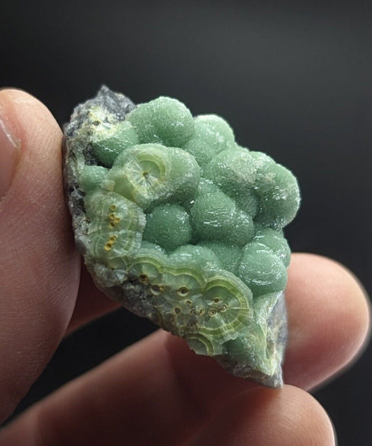Amazing Wavellite on Quartz - Fantastic Old Stock - Mauldin Mountain Arkansas - Collectibles:Rocks Fossils &
