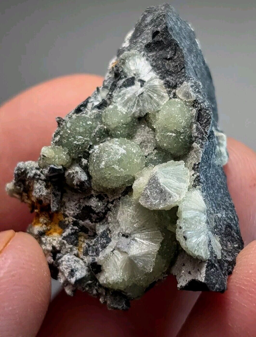 Amazing Wavellite Specimen (Arkansas USA) - OOAK Natural Crystal Cluster - Collectibles:Rocks Fossils &