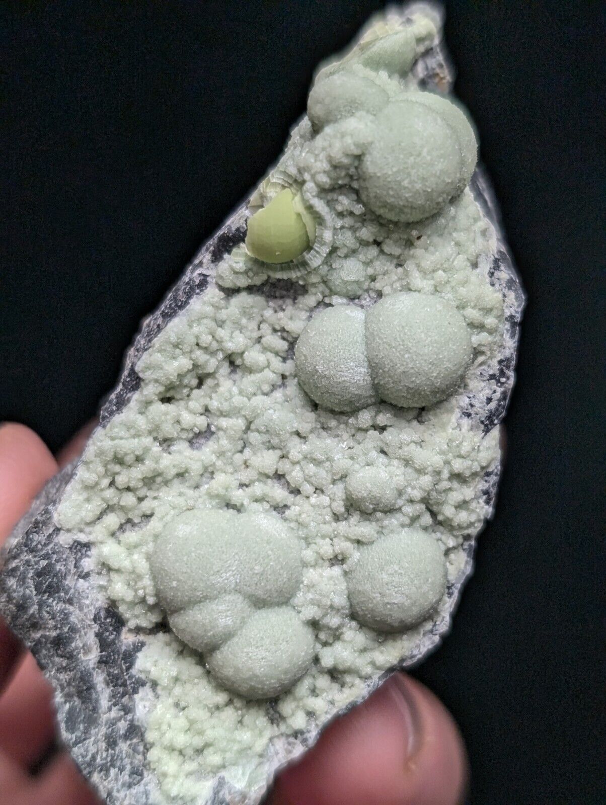 Amazing Wavellite Specimen (Arkansas USA) - OOAK Natural Crystal Cluster - Collectibles:Rocks Fossils &