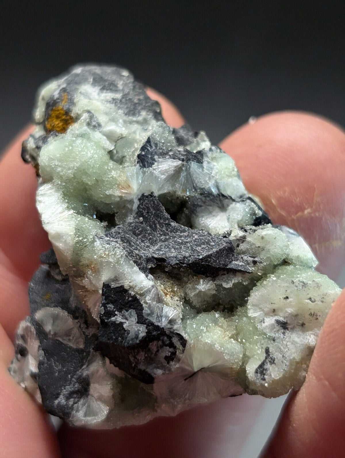 Amazing Wavellite Specimen (Arkansas USA) - OOAK Natural Crystal Cluster - Collectibles:Rocks Fossils &