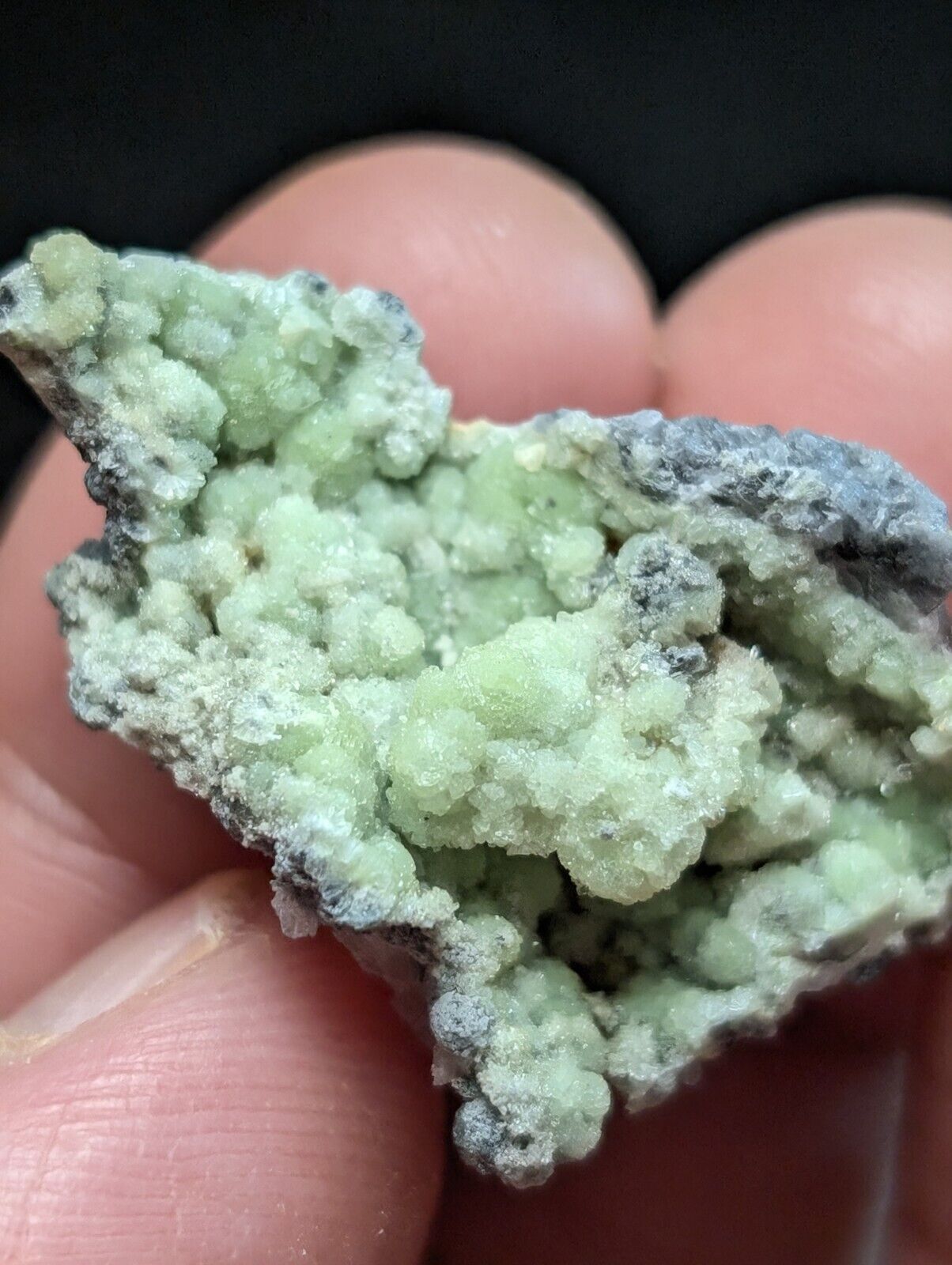 Amazing Wavellite Specimen (Arkansas USA) - OOAK Natural Crystal Cluster - Collectibles:Rocks Fossils &