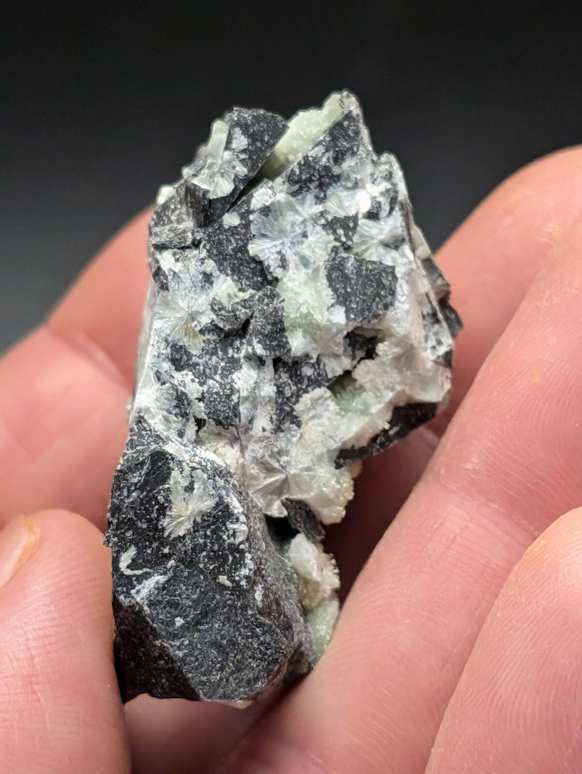 A hand holds a dark gray rock specimen featuring intricate, translucent white crystalline formations.