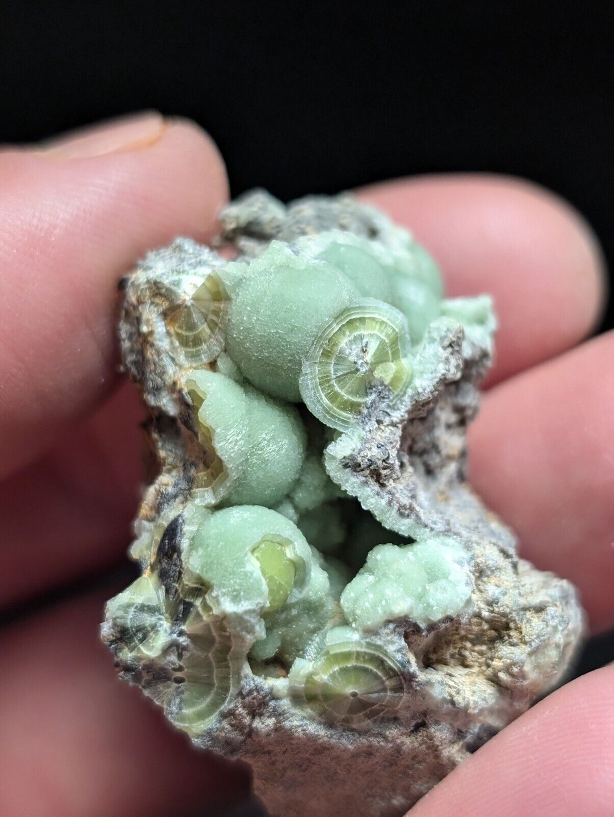 Amazing Wavellite Specimen (Arkansas USA) - OOAK Natural Crystal Cluster - Collectibles:Rocks Fossils &