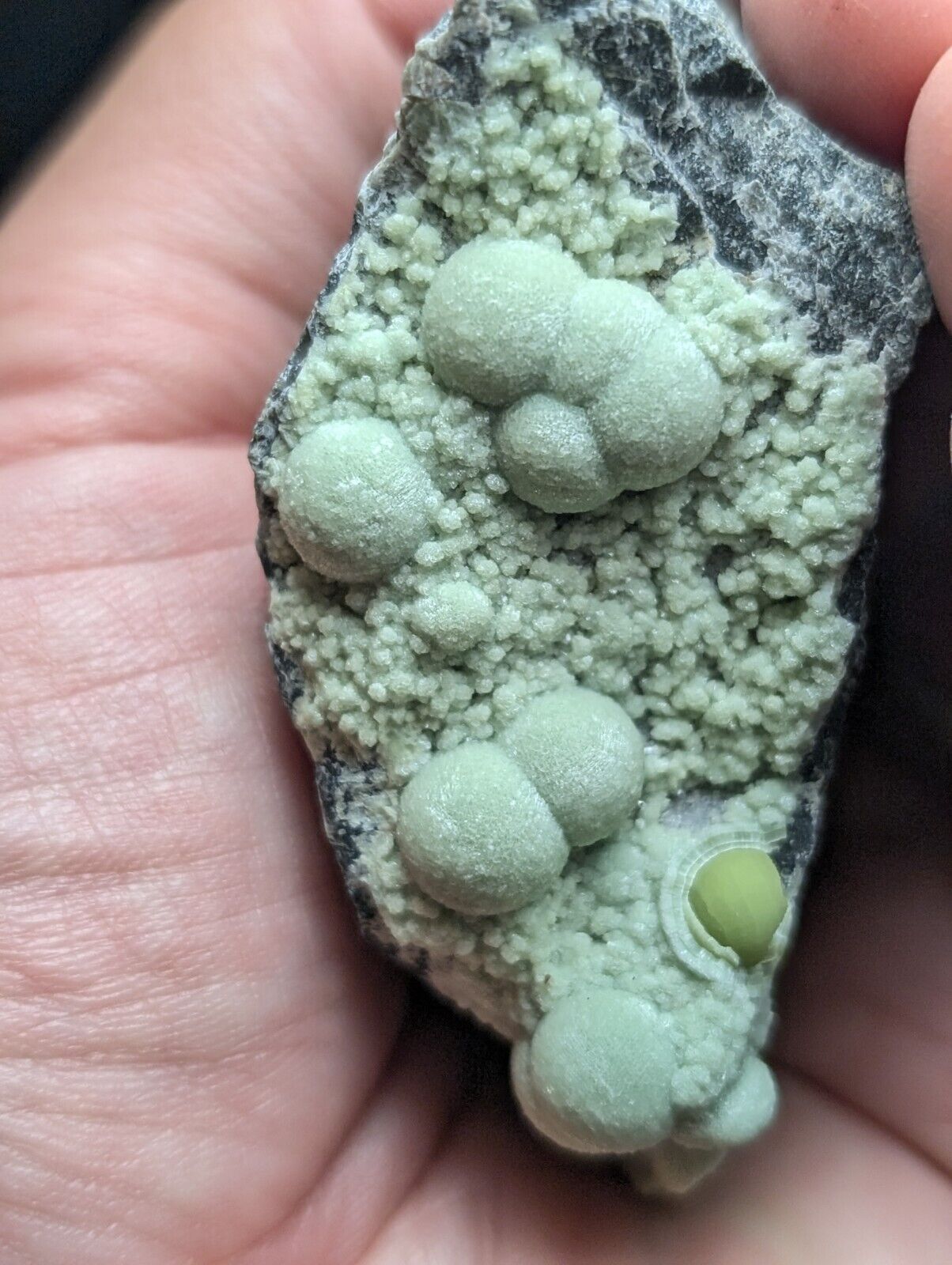 Amazing Wavellite Specimen (Arkansas USA) - OOAK Natural Crystal Cluster - Collectibles:Rocks Fossils &