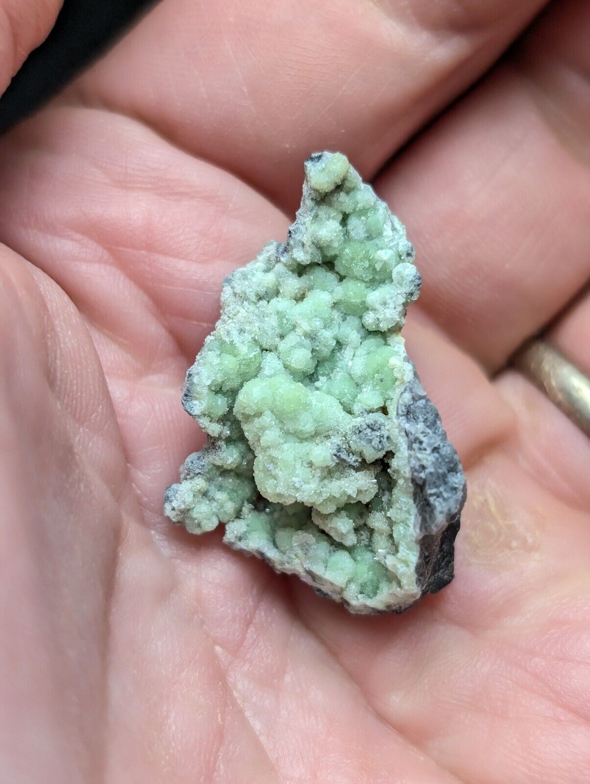 Amazing Wavellite Specimen (Arkansas USA) - OOAK Natural Crystal Cluster - Collectibles:Rocks Fossils &