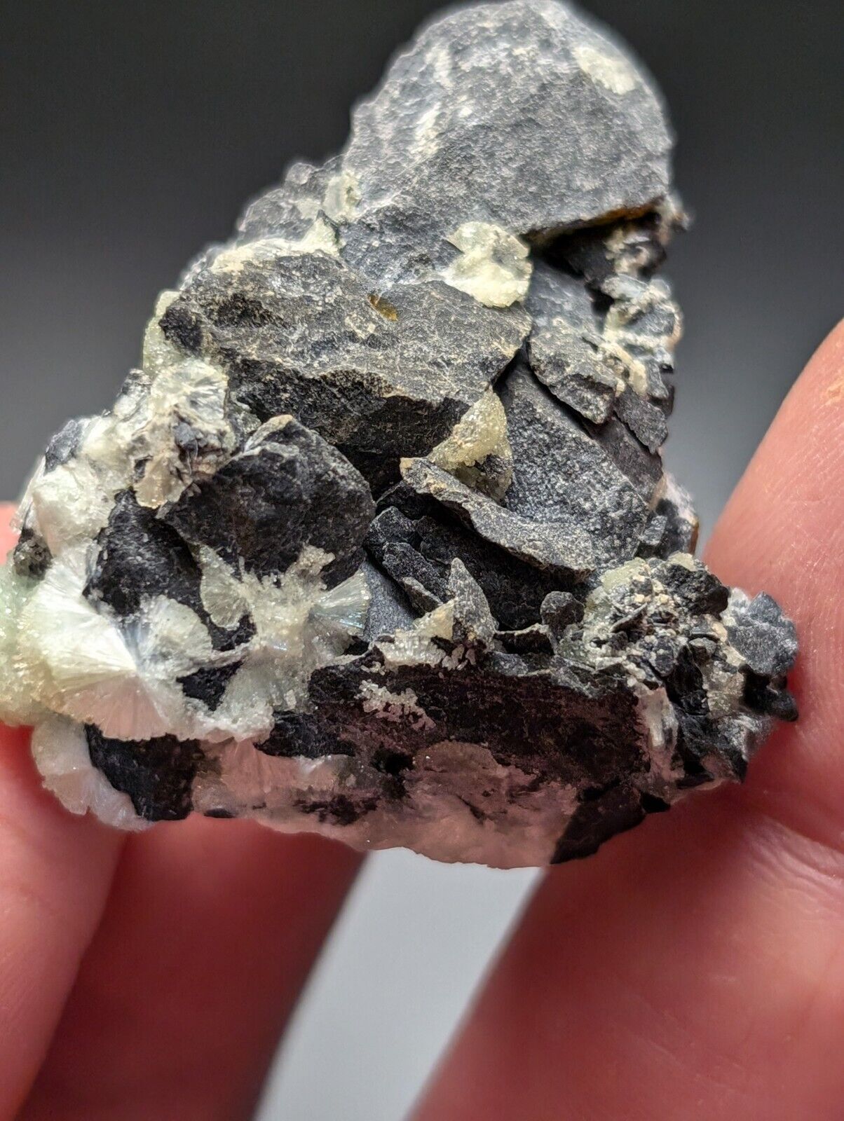 Amazing Wavellite Specimen (Arkansas USA) - OOAK Natural Crystal Cluster - Collectibles:Rocks Fossils &
