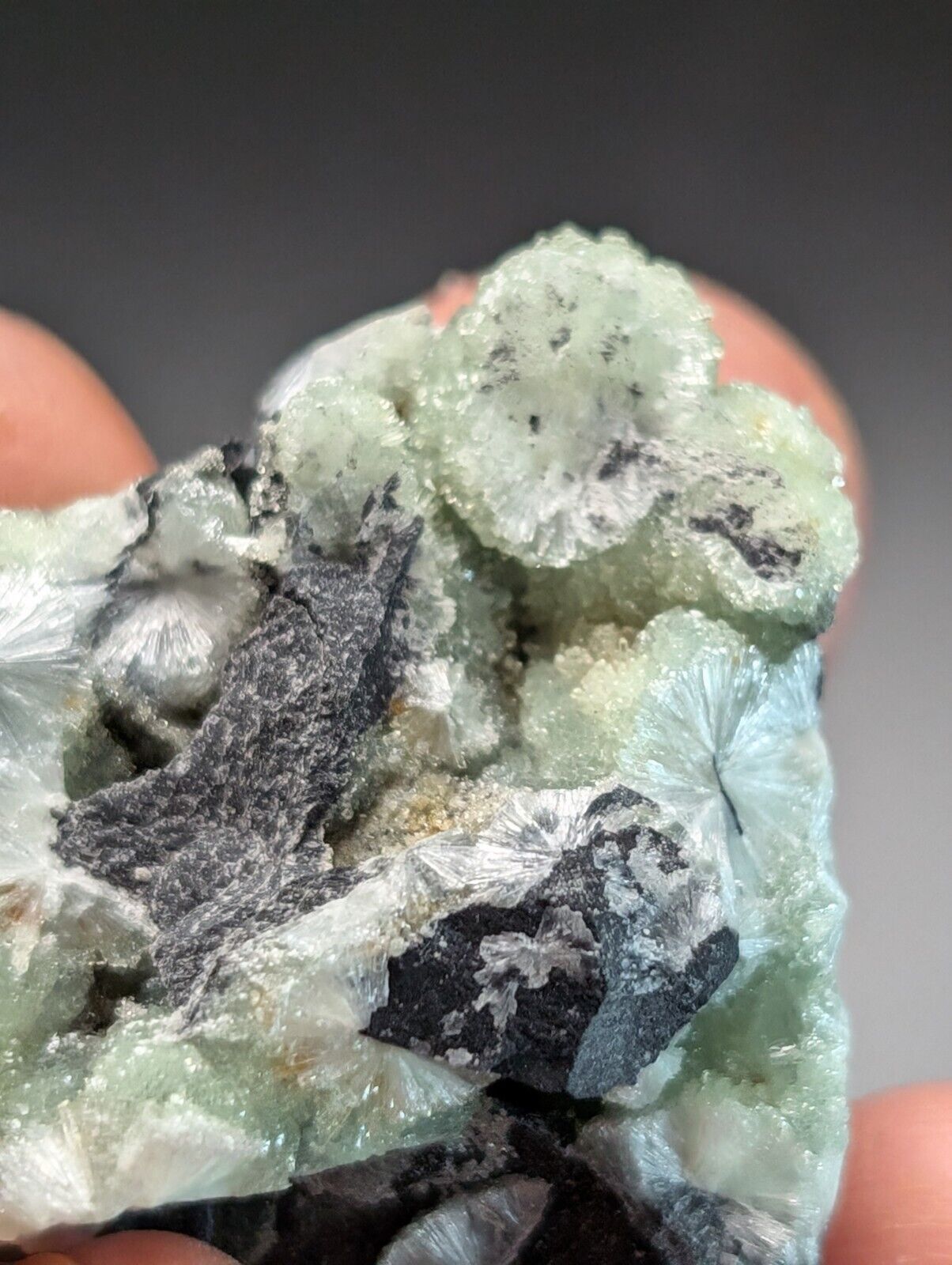 Amazing Wavellite Specimen (Arkansas USA) - OOAK Natural Crystal Cluster - Collectibles:Rocks Fossils &