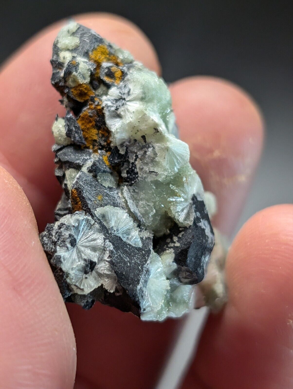 Amazing Wavellite Specimen (Arkansas USA) - OOAK Natural Crystal Cluster - Collectibles:Rocks Fossils &