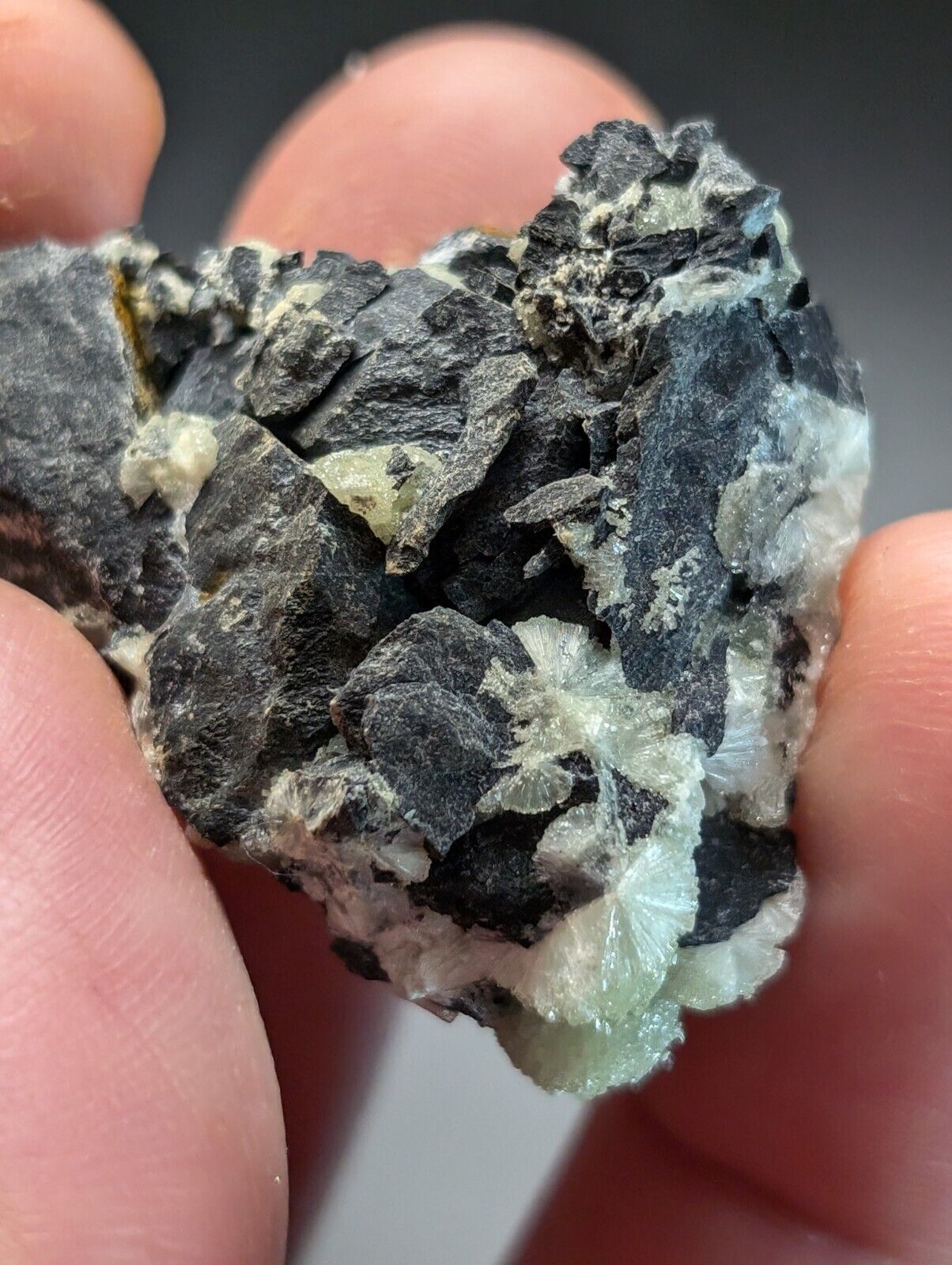 Amazing Wavellite Specimen (Arkansas USA) - OOAK Natural Crystal Cluster - Collectibles:Rocks Fossils &