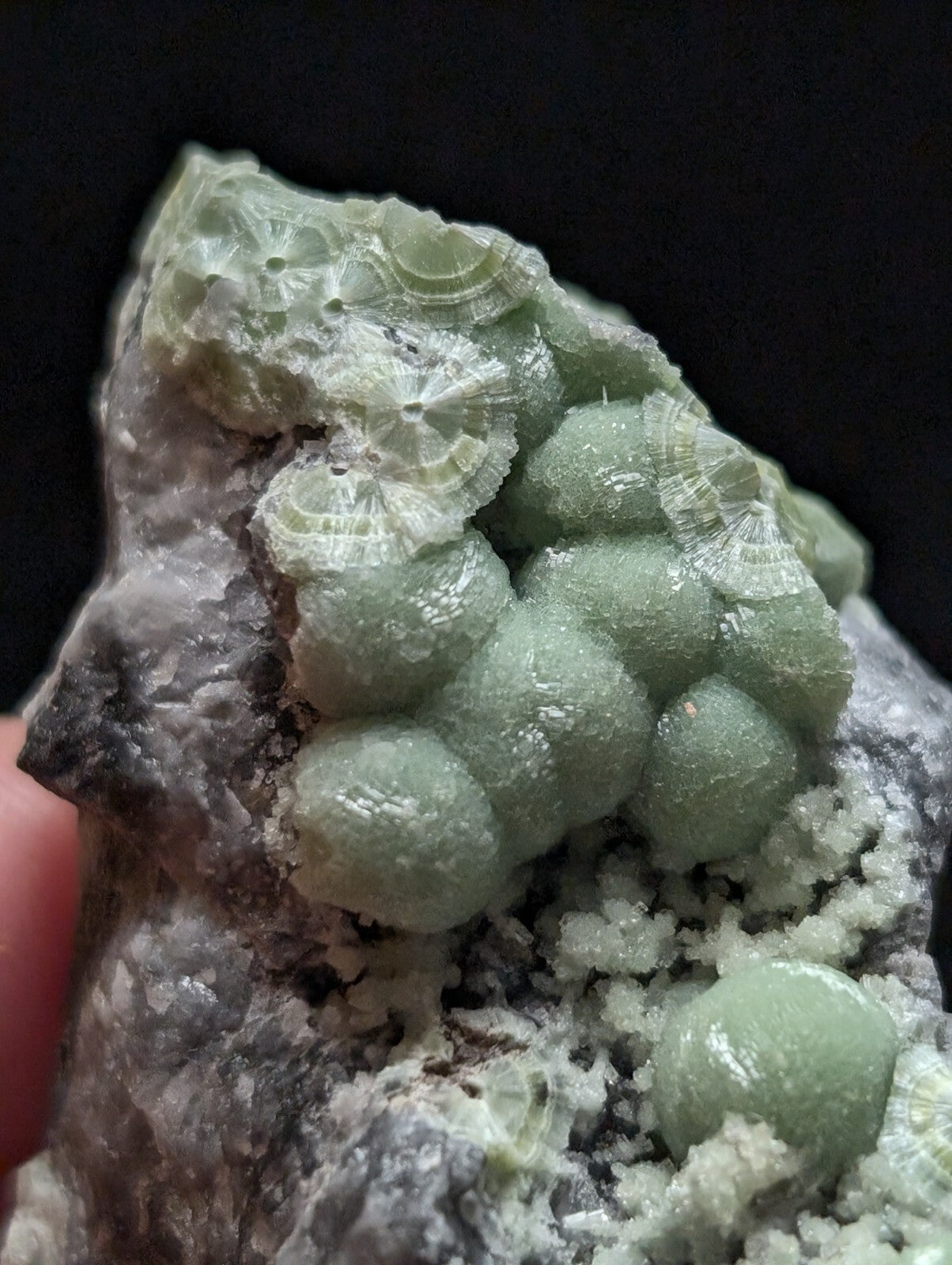 A cluster of translucent, pale green calcite crystals with intricate radial patterns grows from a rough, grayish rock matrix.