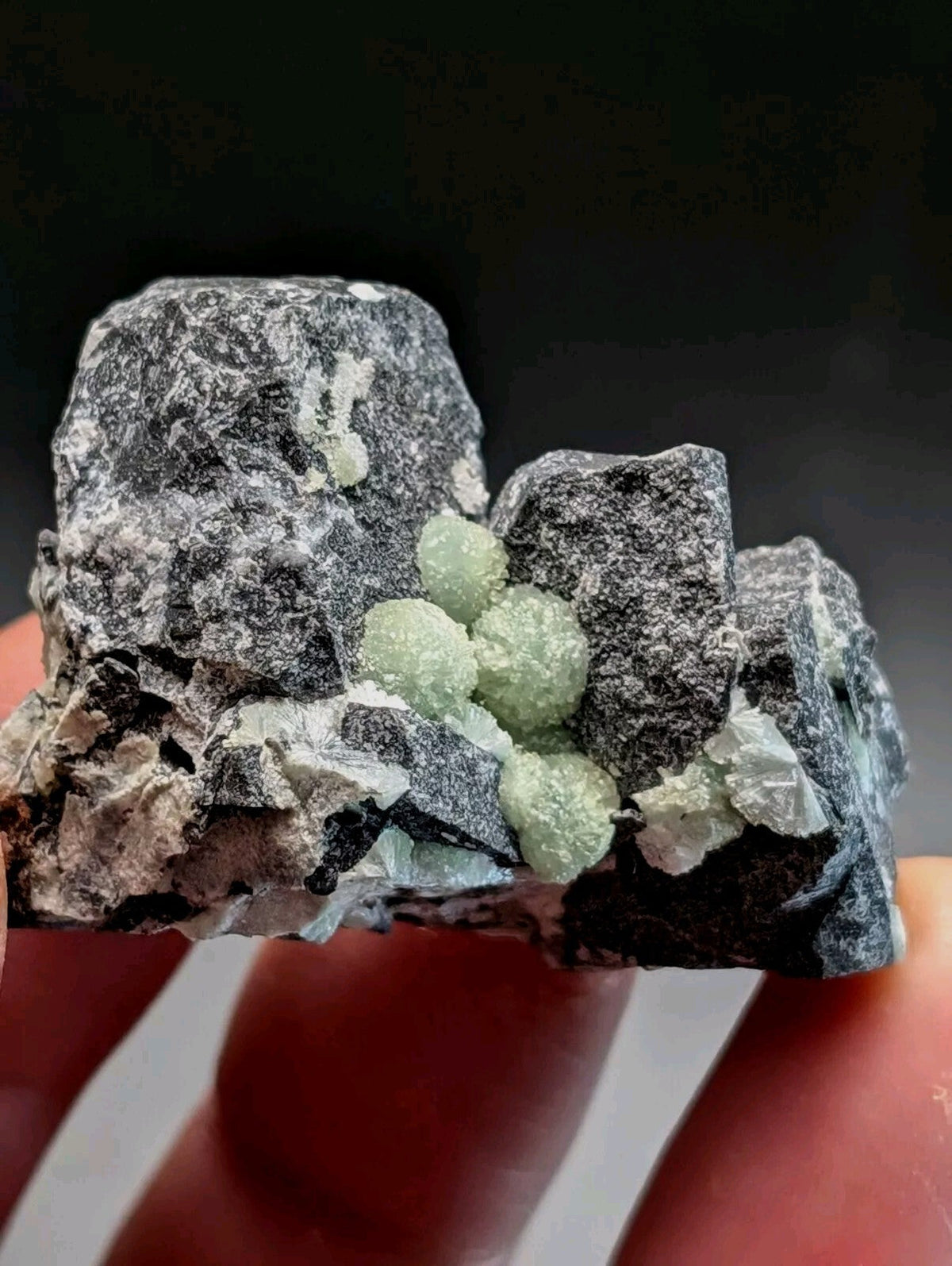 A cluster of translucent, pale green spherical crystals nestled within a dark gray rock matrix.