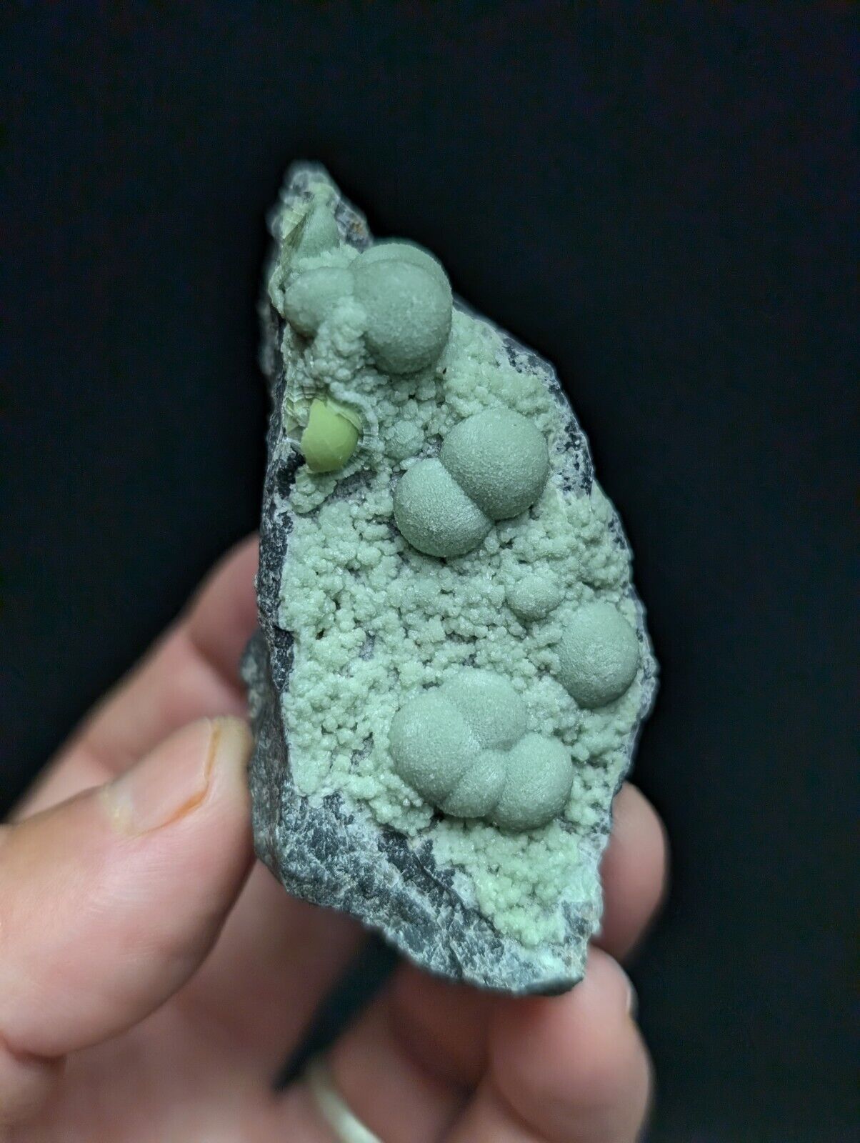 Amazing Wavellite Specimen (Arkansas USA) - OOAK Natural Crystal Cluster - Collectibles:Rocks Fossils &