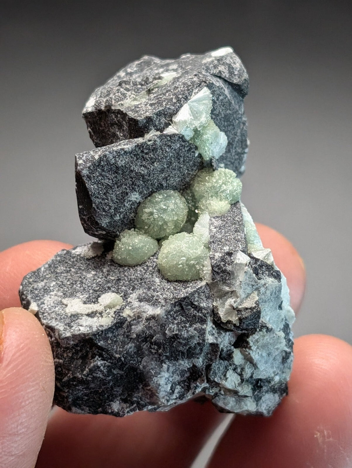 A hand holds a dark gray rock specimen featuring clusters of translucent, pale green mineral crystals.