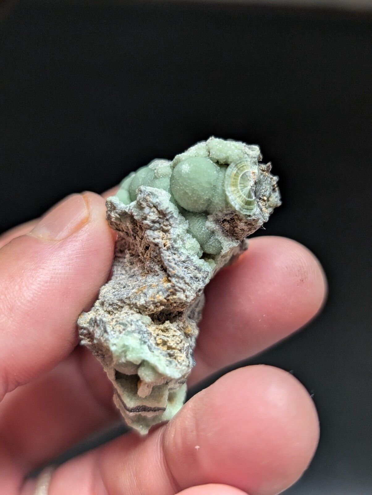 Amazing Wavellite Specimen (Arkansas USA) - OOAK Natural Crystal Cluster - Collectibles:Rocks Fossils &