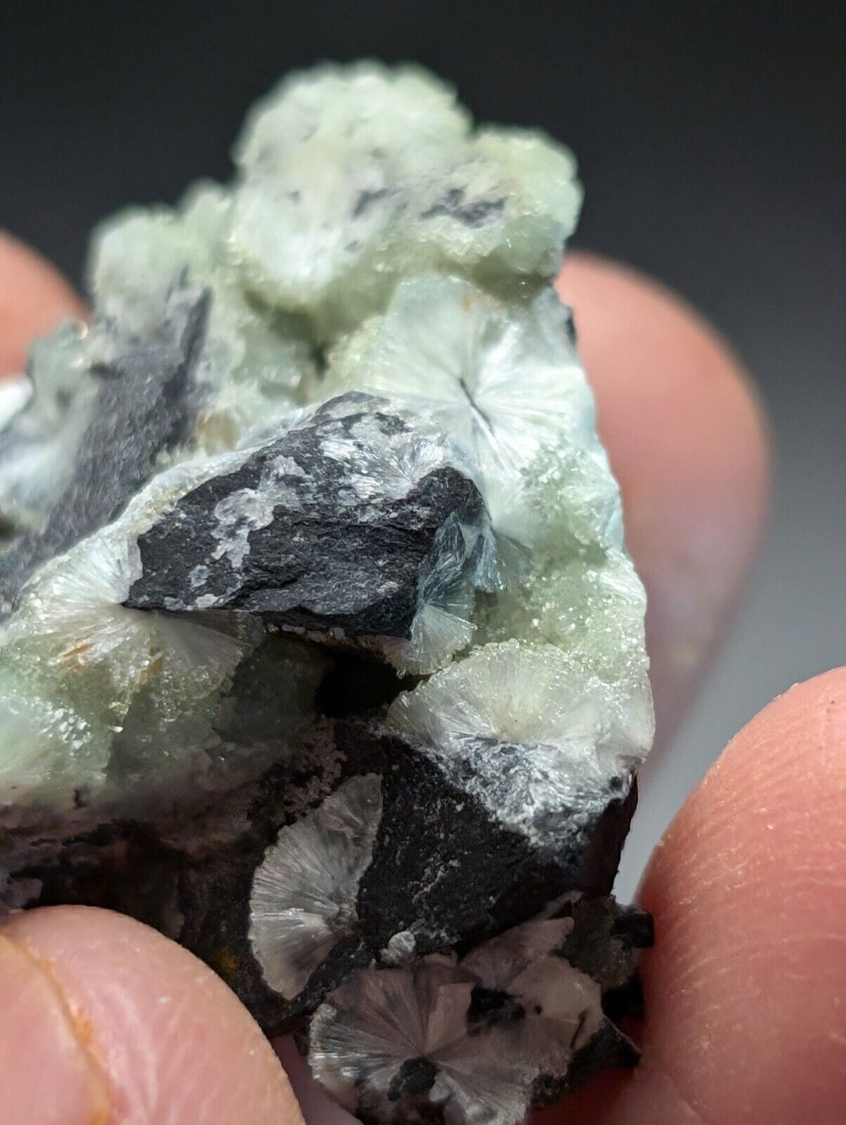 Amazing Wavellite Specimen (Arkansas USA) - OOAK Natural Crystal Cluster - Collectibles:Rocks Fossils &