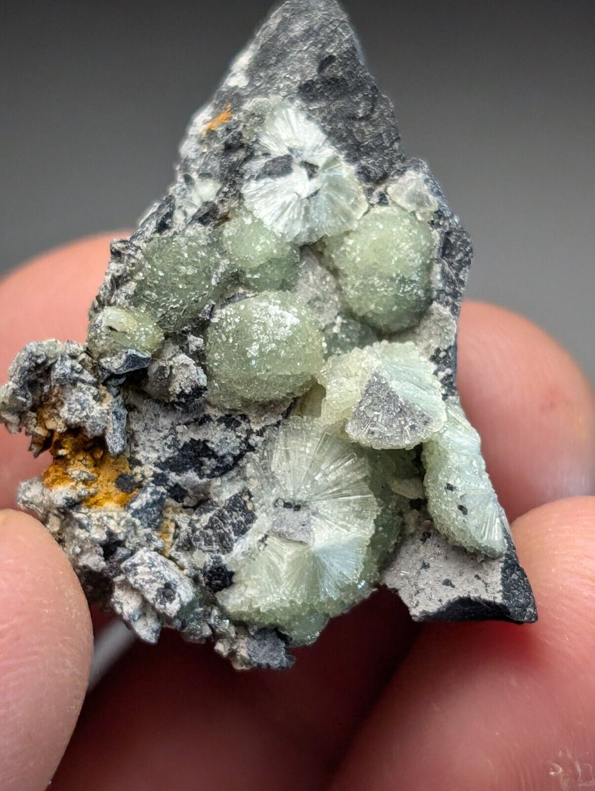 Amazing Wavellite Specimen (Arkansas USA) - OOAK Natural Crystal Cluster - Collectibles:Rocks Fossils &