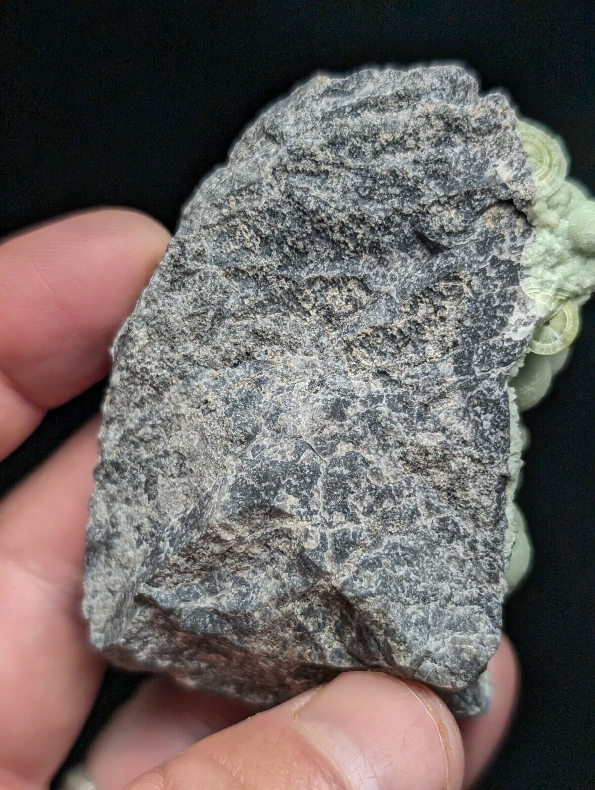 Amazing Wavellite Specimen (Arkansas USA) - OOAK Natural Crystal Cluster - Collectibles:Rocks Fossils &