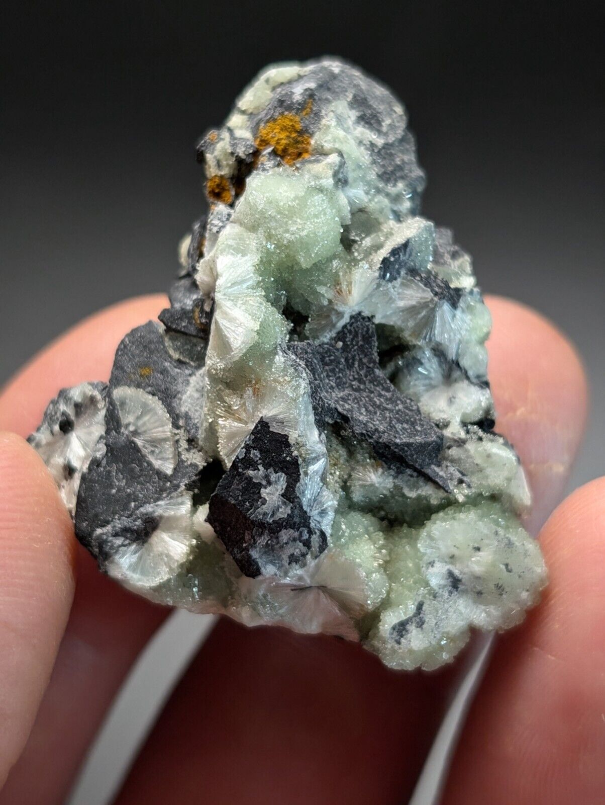 Amazing Wavellite Specimen (Arkansas USA) - OOAK Natural Crystal Cluster - Collectibles:Rocks Fossils &