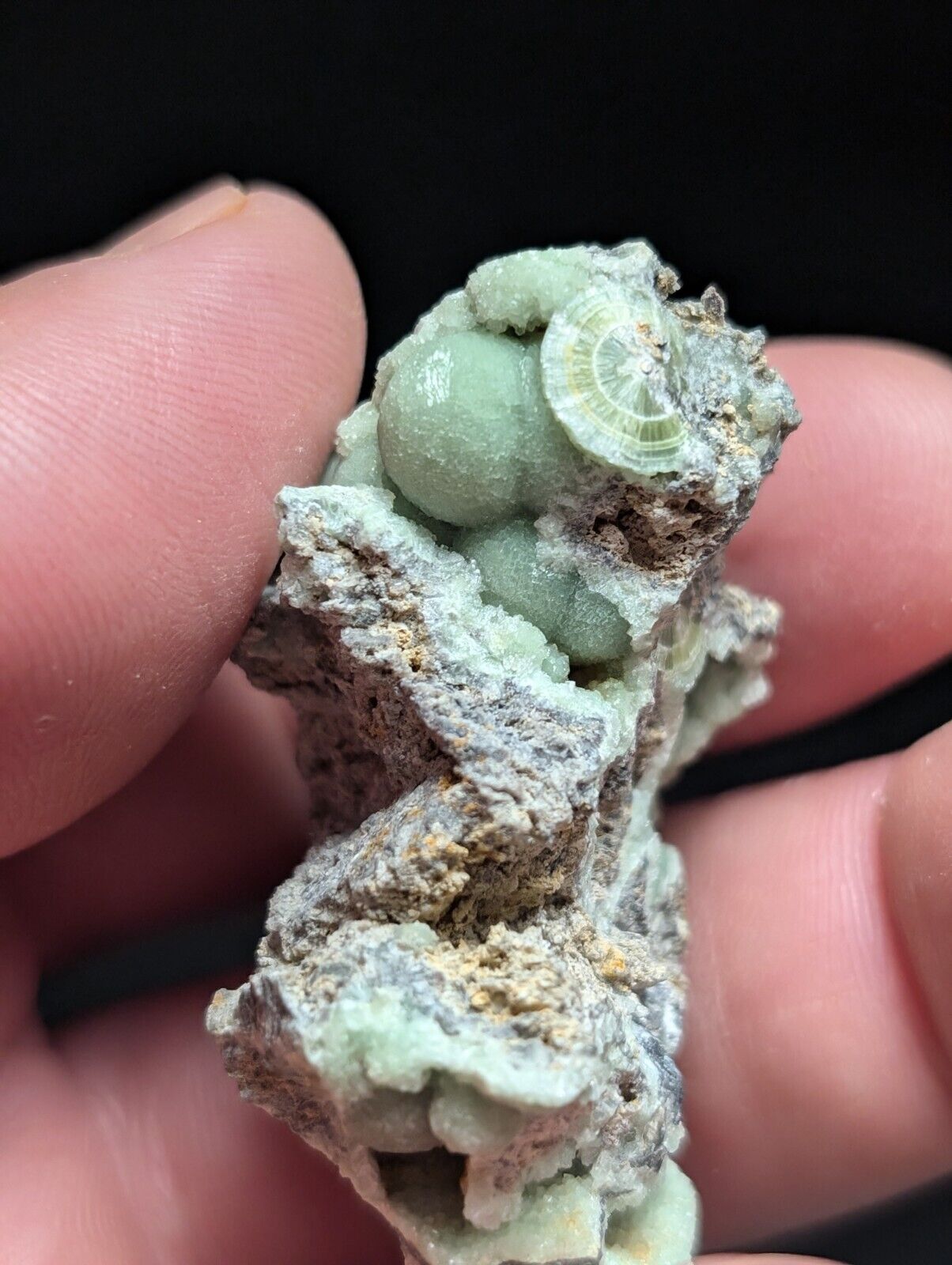 Amazing Wavellite Specimen (Arkansas USA) - OOAK Natural Crystal Cluster - Collectibles:Rocks Fossils &