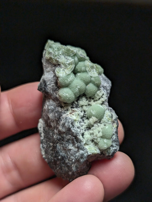 A hand holds a rough, dark gray rock specimen featuring clusters of smooth, light green spherical crystals.