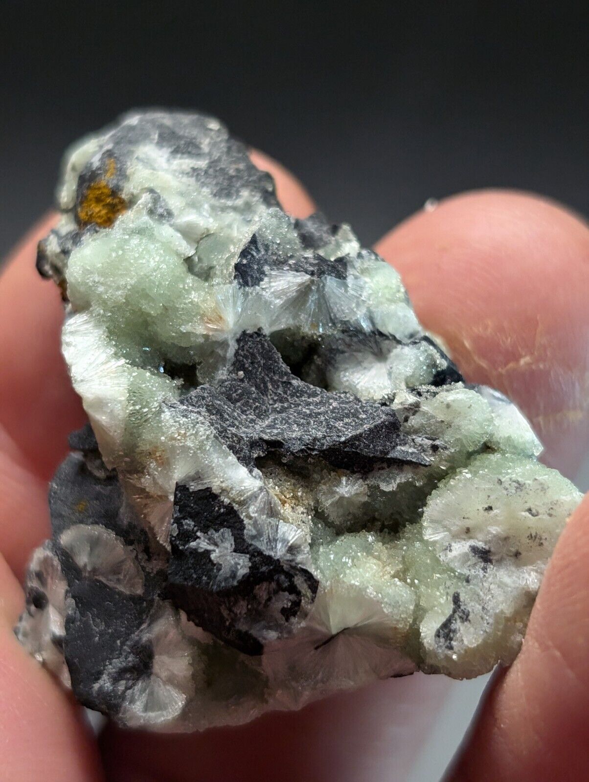 Amazing Wavellite Specimen (Arkansas USA) - OOAK Natural Crystal Cluster - Collectibles:Rocks Fossils &