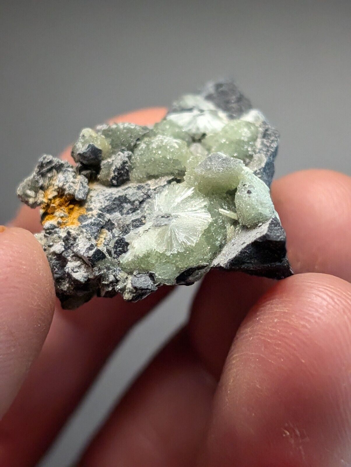 Amazing Wavellite Specimen (Arkansas USA) - OOAK Natural Crystal Cluster - Collectibles:Rocks Fossils &