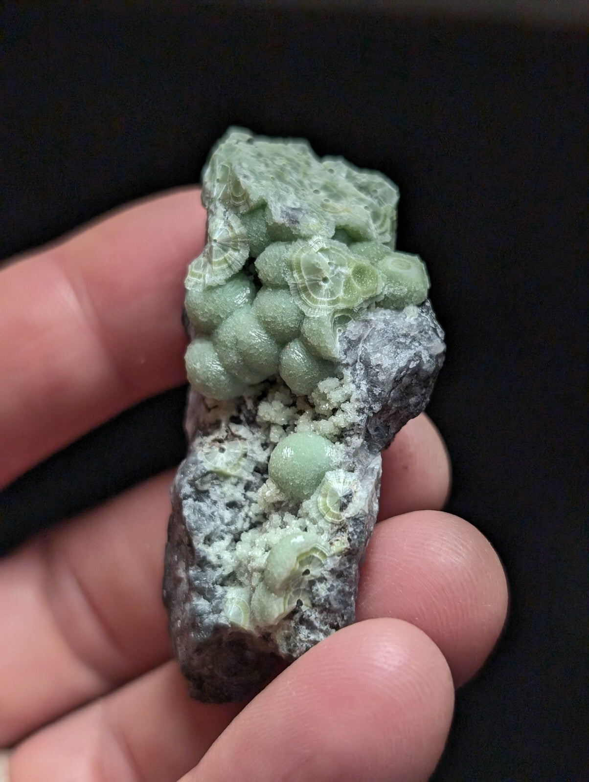 A hand holds a natural mineral specimen featuring clusters of pale green, rounded crystals growing from a dark gray rock matrix.