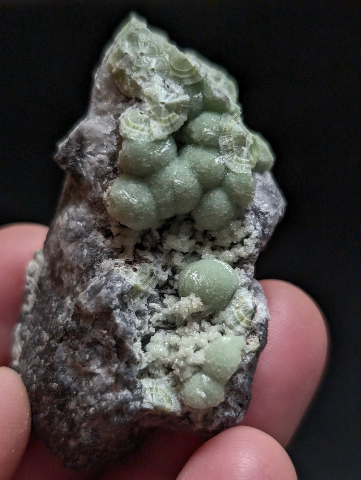 A cluster of pale green, spherical mineral formations with intricate concentric patterns grows from a rough, grayish rock matrix.