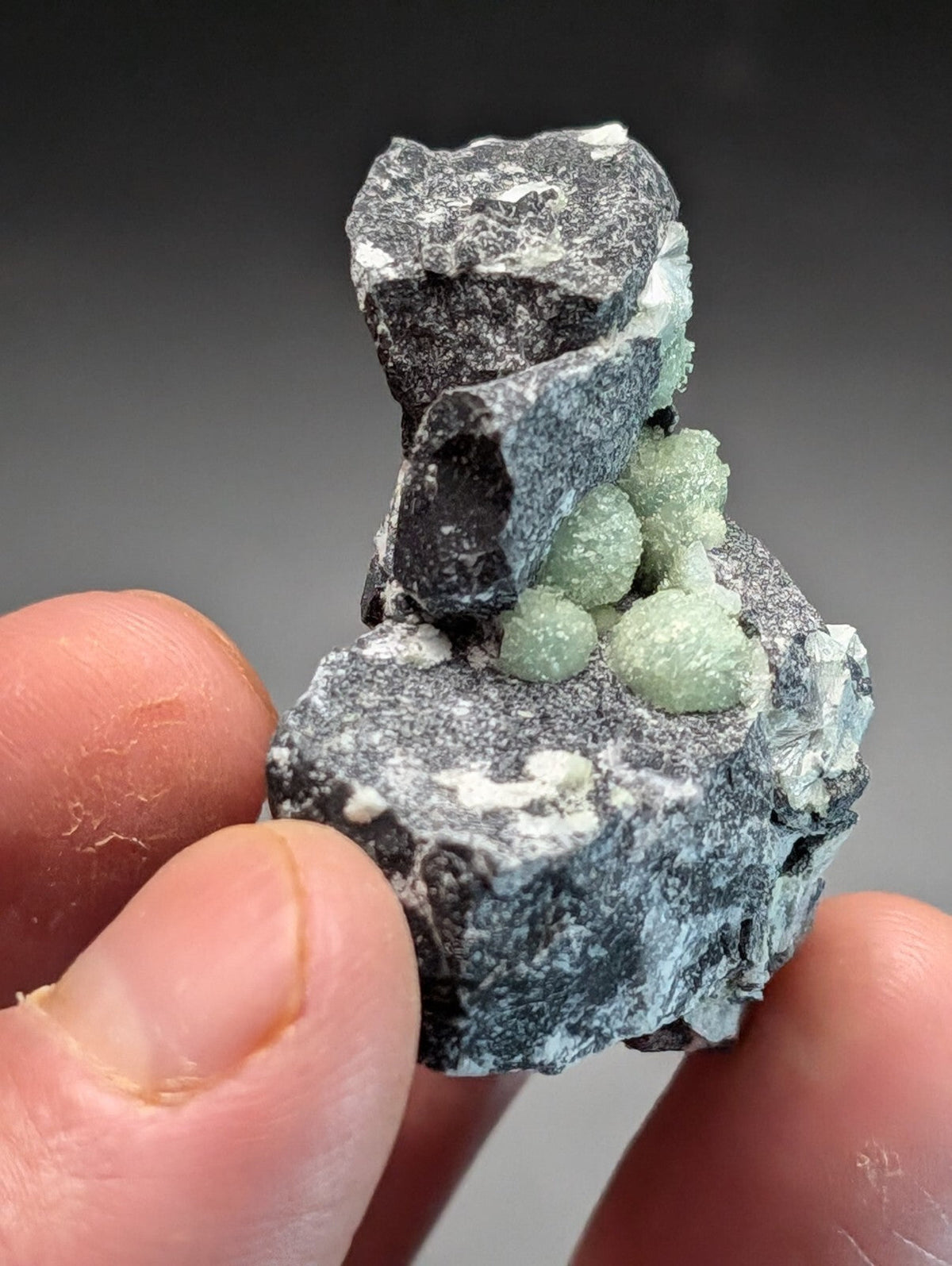 A striking mineral specimen featuring a dark, rough-textured matrix with clusters of translucent light green crystals growing from its surface.