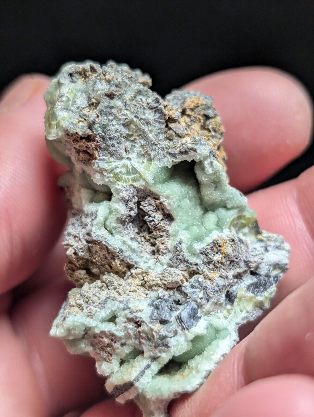 Amazing Wavellite Specimen (Arkansas USA) - OOAK Natural Crystal Cluster - Collectibles:Rocks Fossils &
