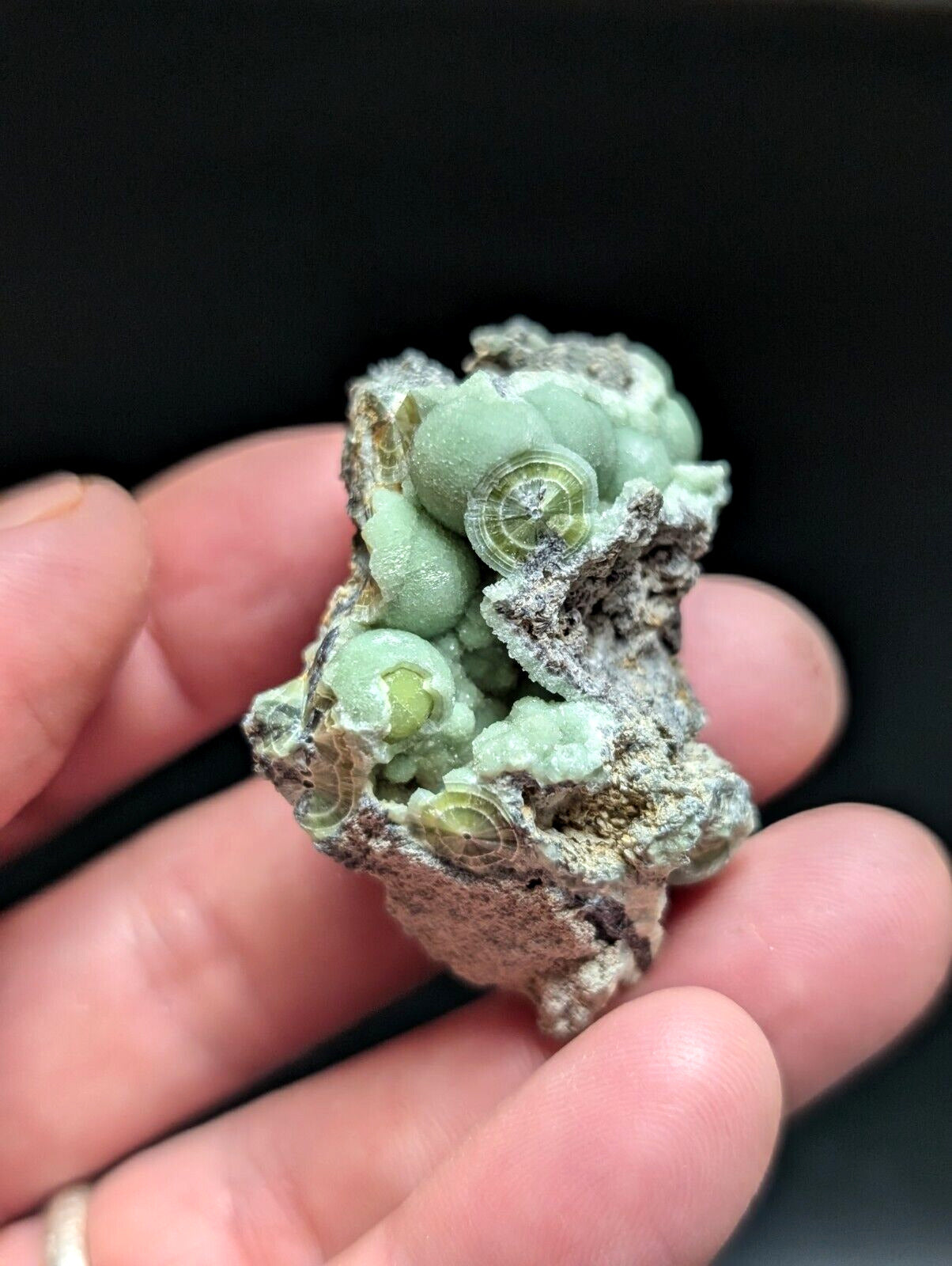 Amazing Wavellite Specimen (Arkansas USA) - OOAK Natural Crystal Cluster - Collectibles:Rocks Fossils &