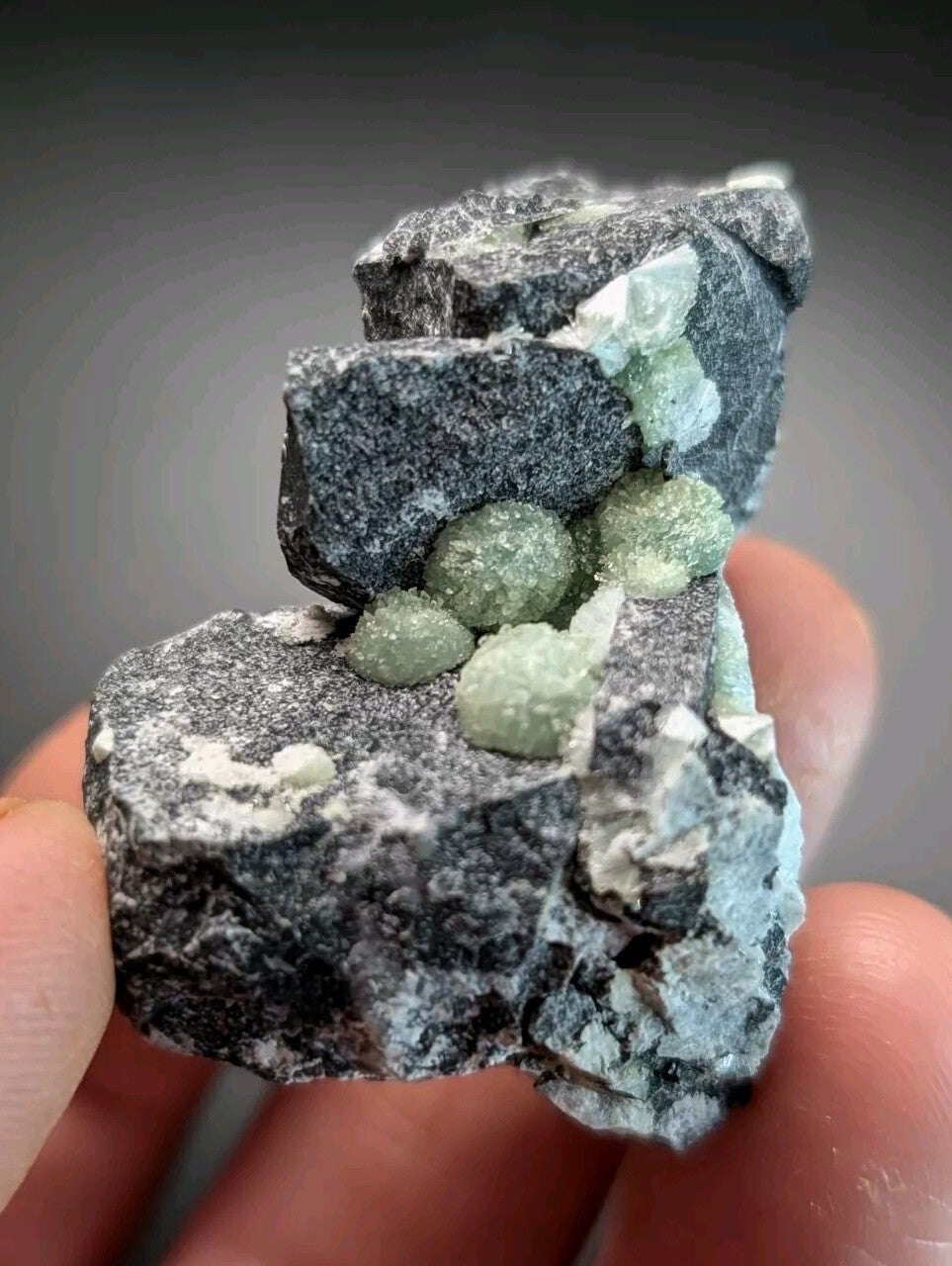 A hand holds a dark gray rock specimen featuring clusters of translucent, light green mineral crystals.