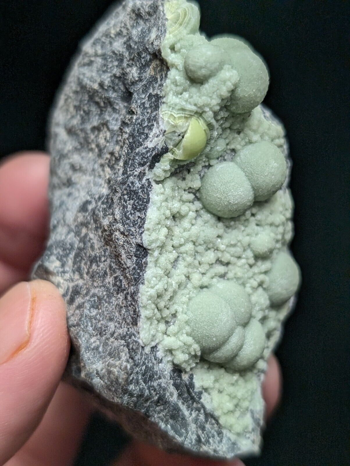 Amazing Wavellite Specimen (Arkansas USA) - OOAK Natural Crystal Cluster - Collectibles:Rocks Fossils &