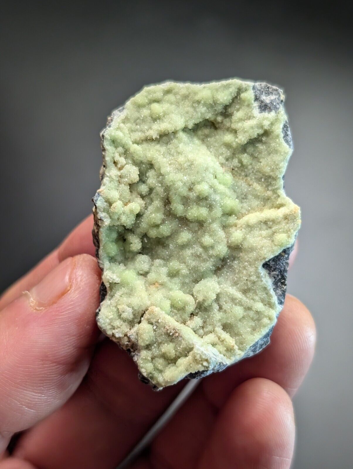 Amazing Wavellite Specimen (Arkansas USA) - OOAK Natural Crystal Cluster - Collectibles:Rocks Fossils &